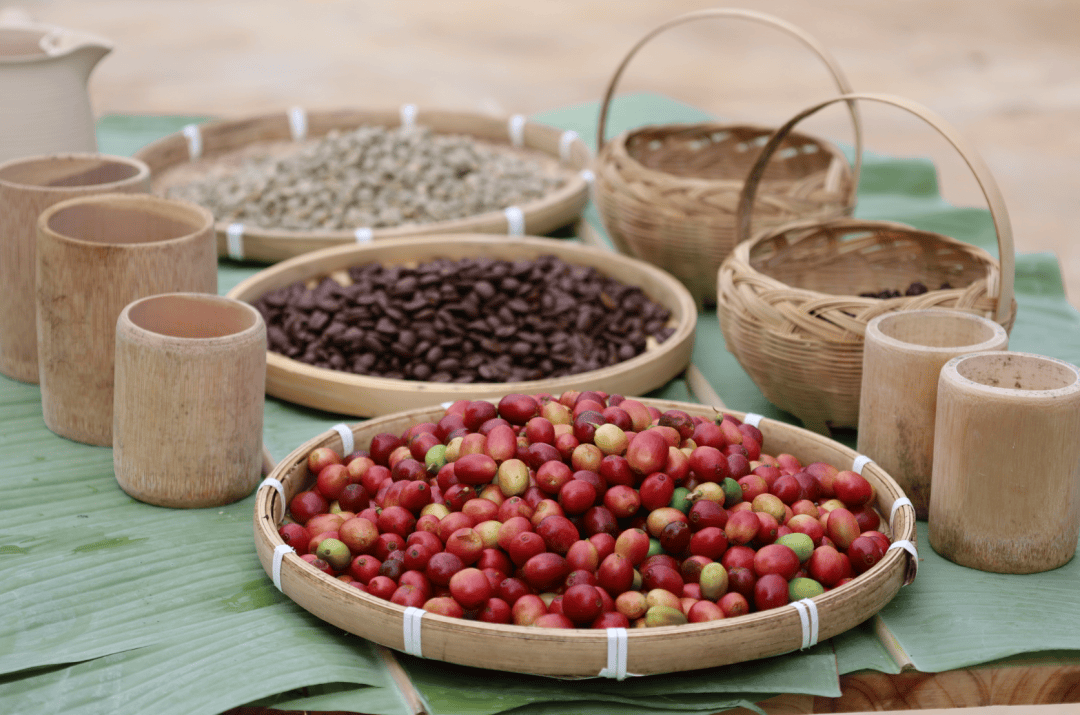 团结奋进】用咖啡串起的民族饮食文化ag真人平台第一游戏【美丽德宏(图3)