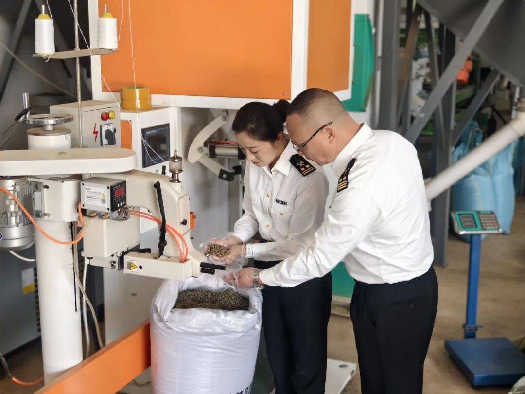 ！305吨临沧咖啡“云签发”出口AG真人网页新春走基层丨发往香港(图8)